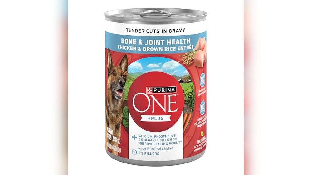 Best Wet Dog Food for Joint Health: Top Picks for Stronger Mobility