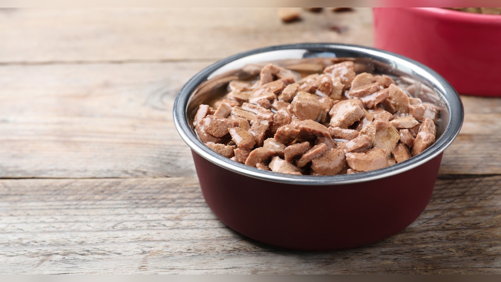 Best Wet Dog Food for Joint Health: Top Picks for Strong Joints
