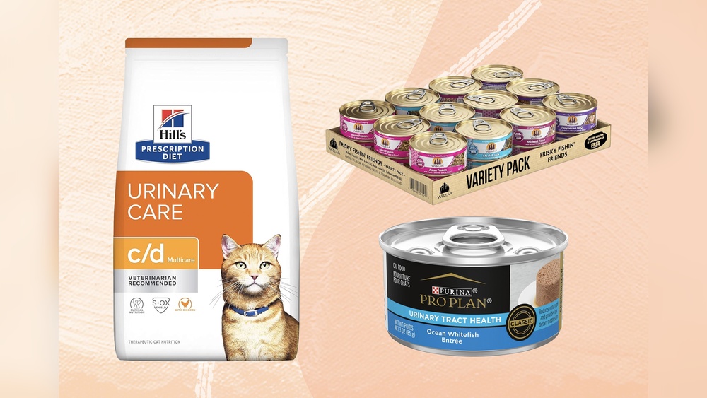 Best Wet Dog Food for Urinary Health