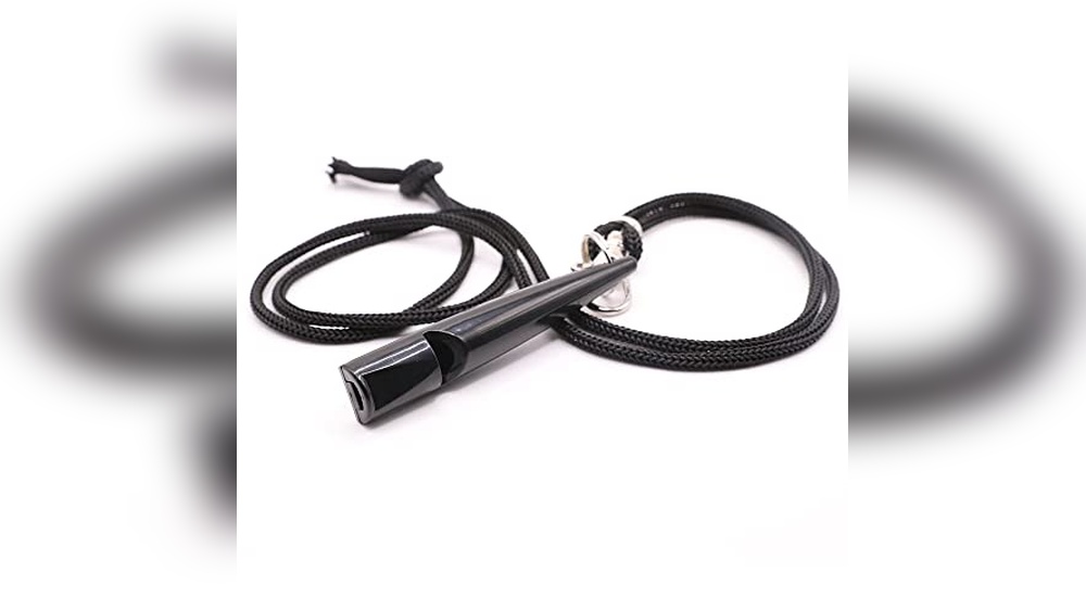 Best Whistle for Deaf Dog