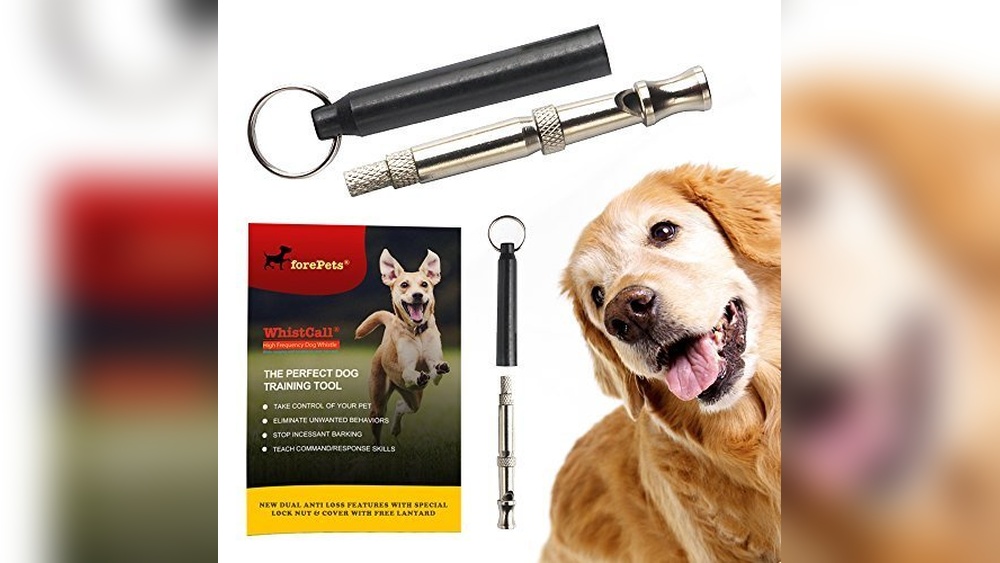 Best Whistle for Deaf Dog