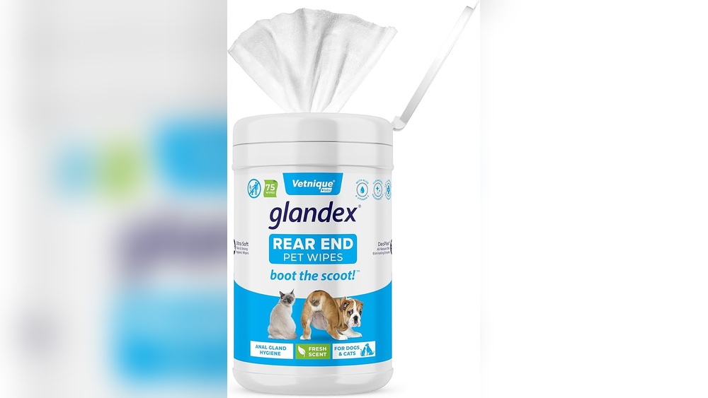 Best Wipes for Dog Bottom