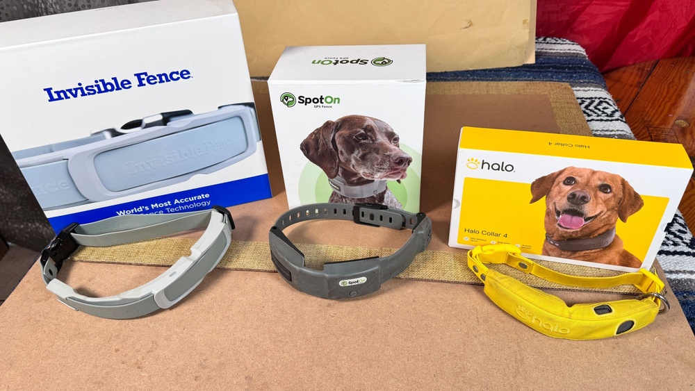 Best Wireless Dog Fence Gps