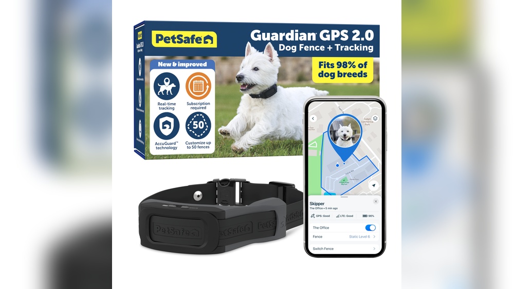 Best Wireless Invisible Fence for Small Dogs