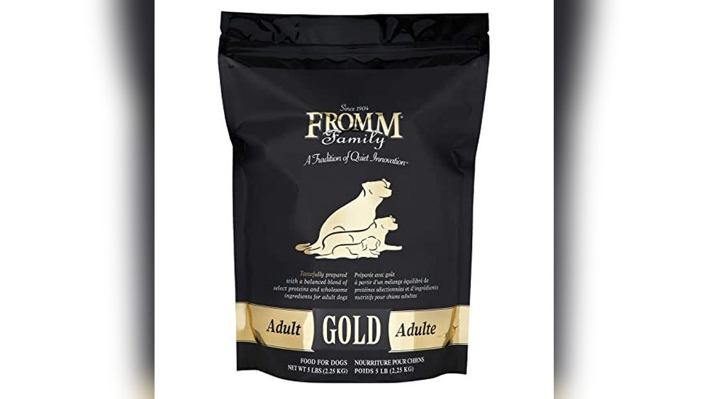 Best Working Dogs for Families