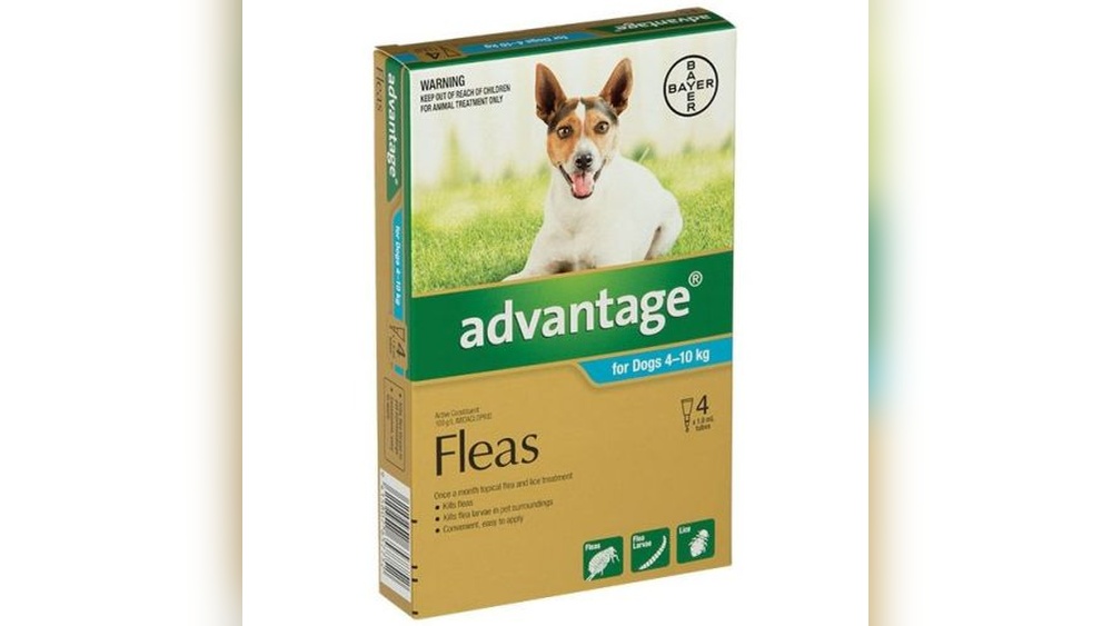 Best Wormer And Flea Treatment for Dogs