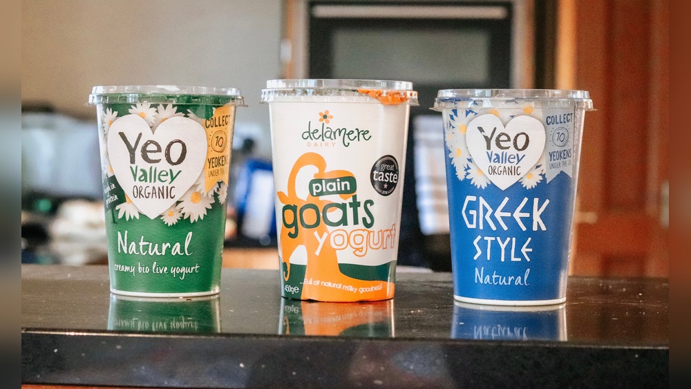 Best Yogurt Brand for Dogs
