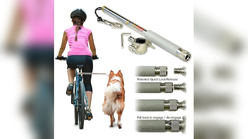 Bike Accessories for Dogs