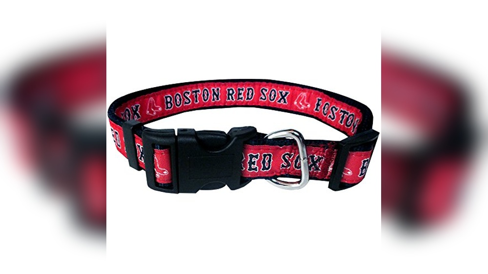 Boston Red Sox Dog Accessories