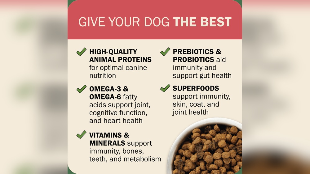 Can a Dog Get Any Nutrition from Whole Grain Sorghum