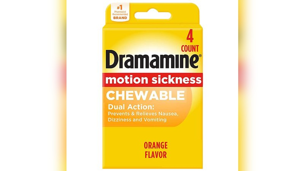 Can Dogs Have Dramamine for Car Sickness