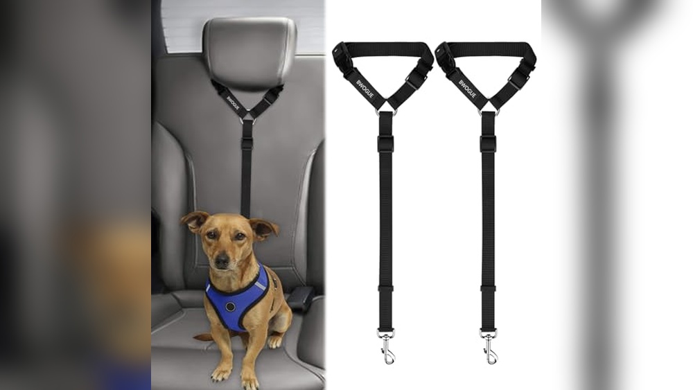 Car Accessories for Dog Travel