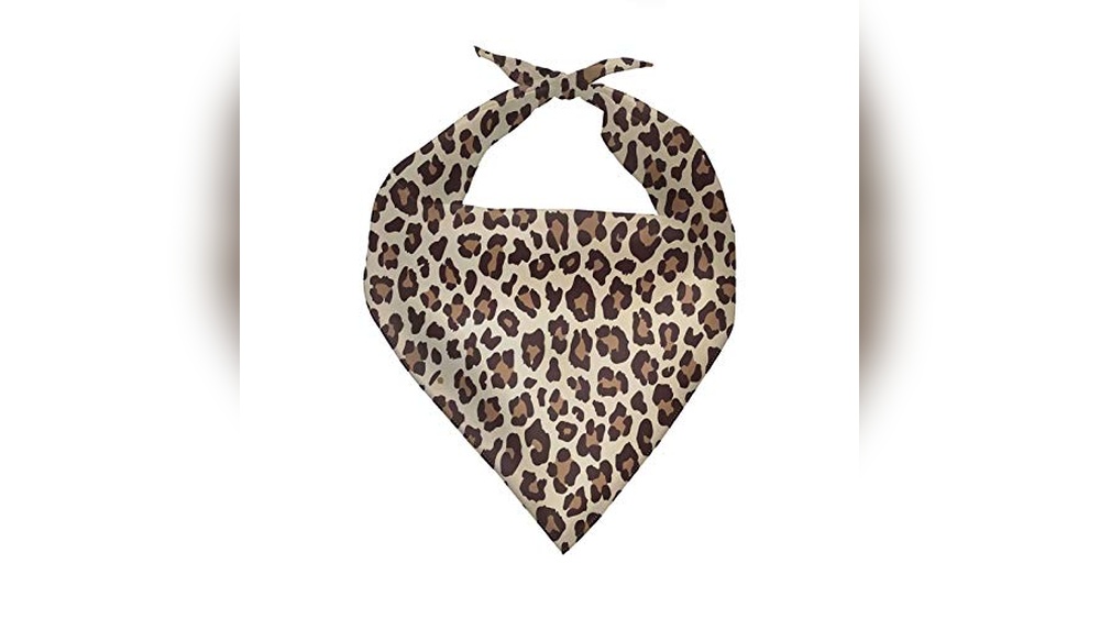 Cheetah Print Dog Accessories
