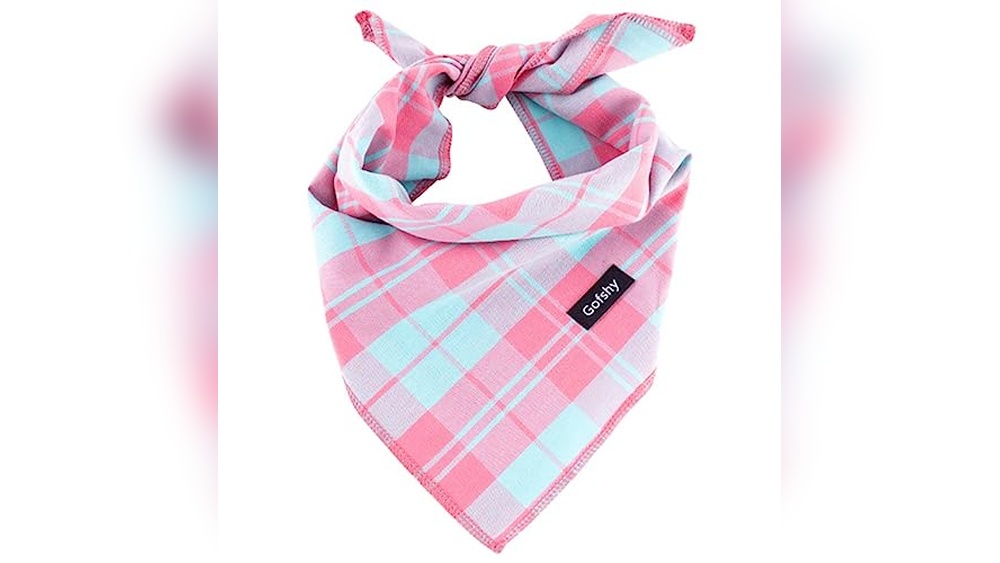 Clothes And Accessories for Dogs