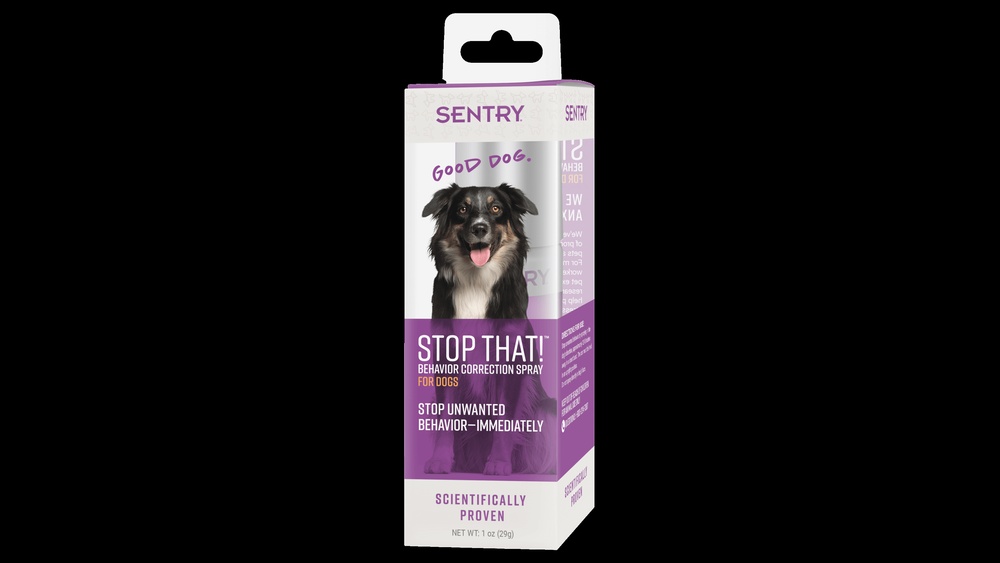 Correcting Dog Behavior