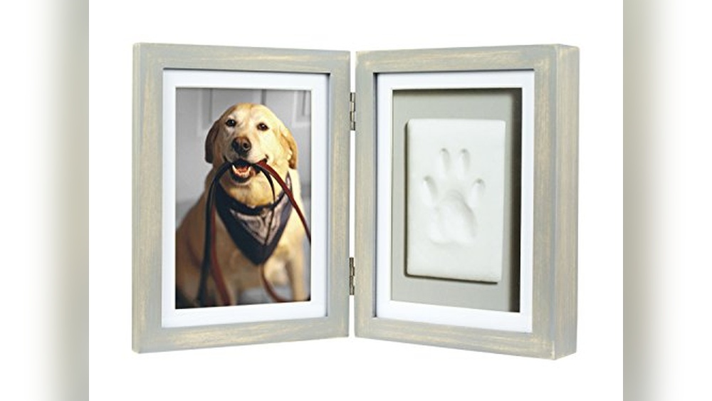 Designer Dog Accessories Brands