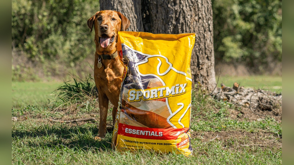 Does Dog Food Have the Bare Minimum of Nutrition