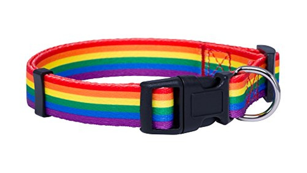 Dog Accessories for Big Dogs