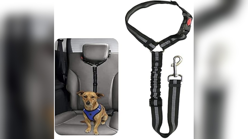Dog Accessories for Car Travel