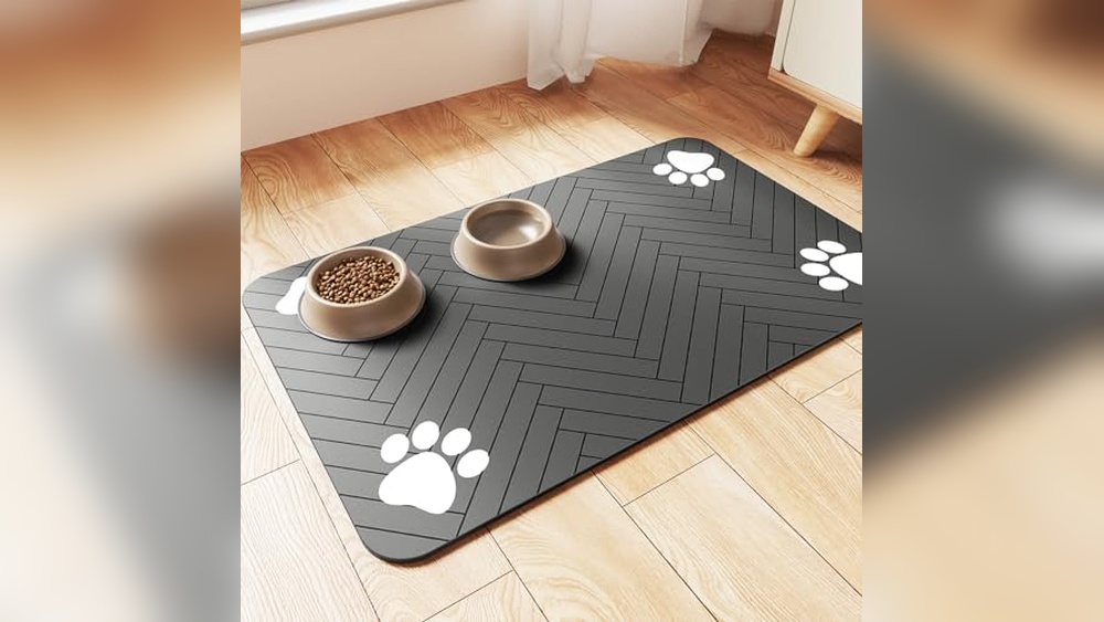 Dog Accessories for Home
