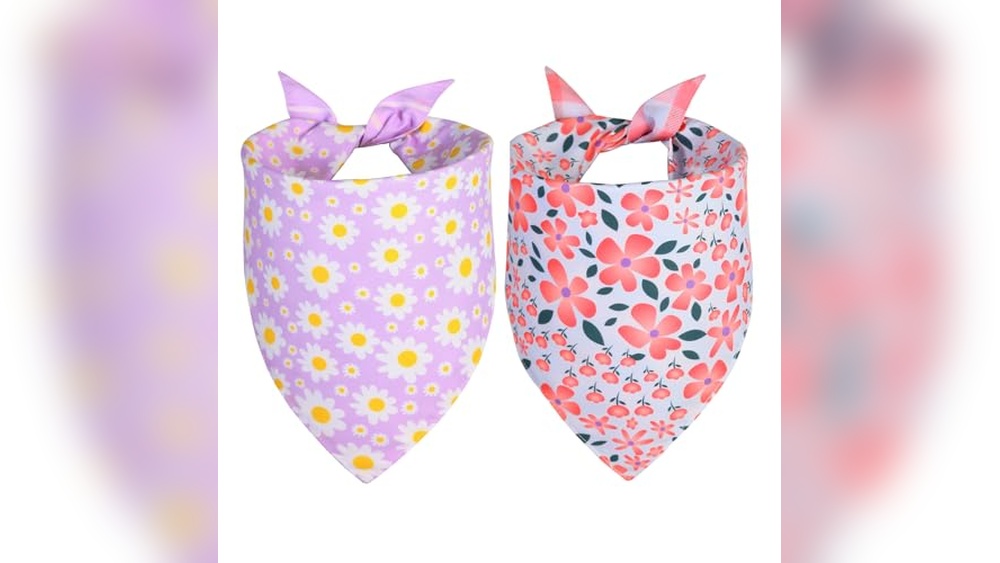 Dog Accessories for Summer