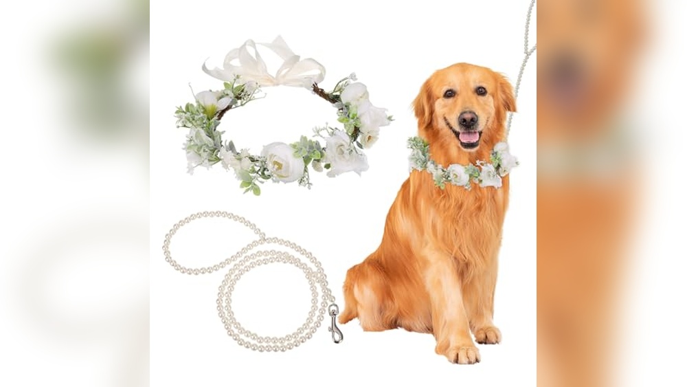 Dog Accessories for Weddings