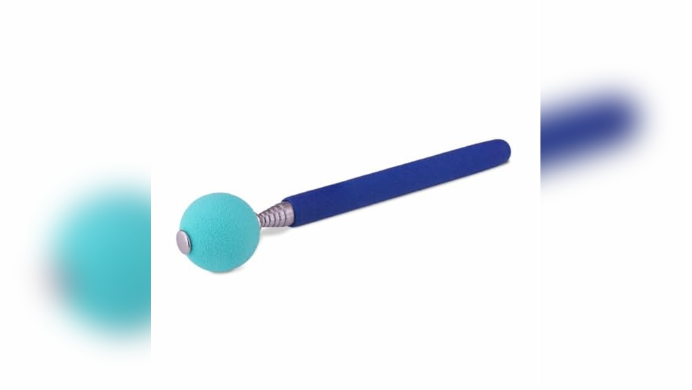 Dog Agility Training Accessories