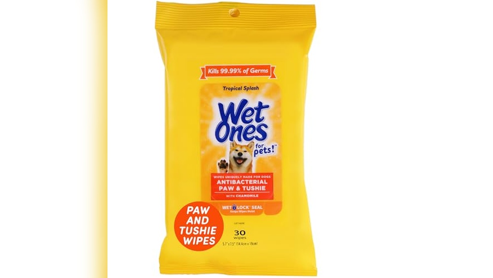 Dog And Pet Travel Accessories