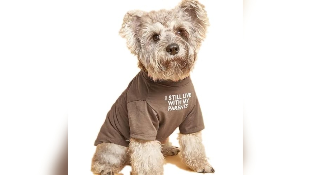 Dog Apparel And Accessories