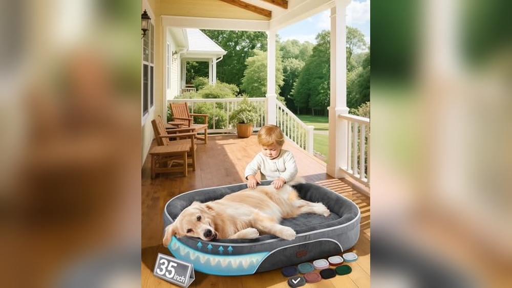 Dog Bed And Accessories