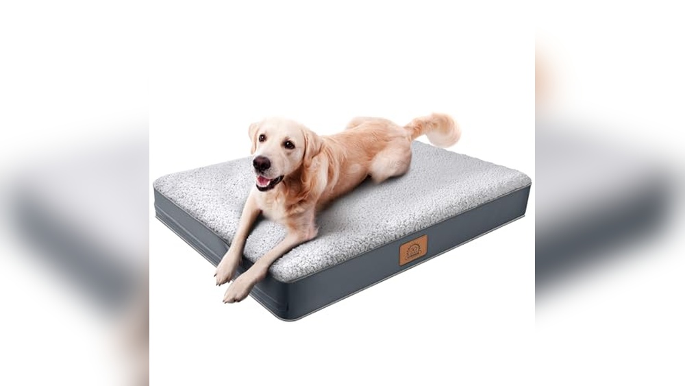 Dog Beds And Accessories