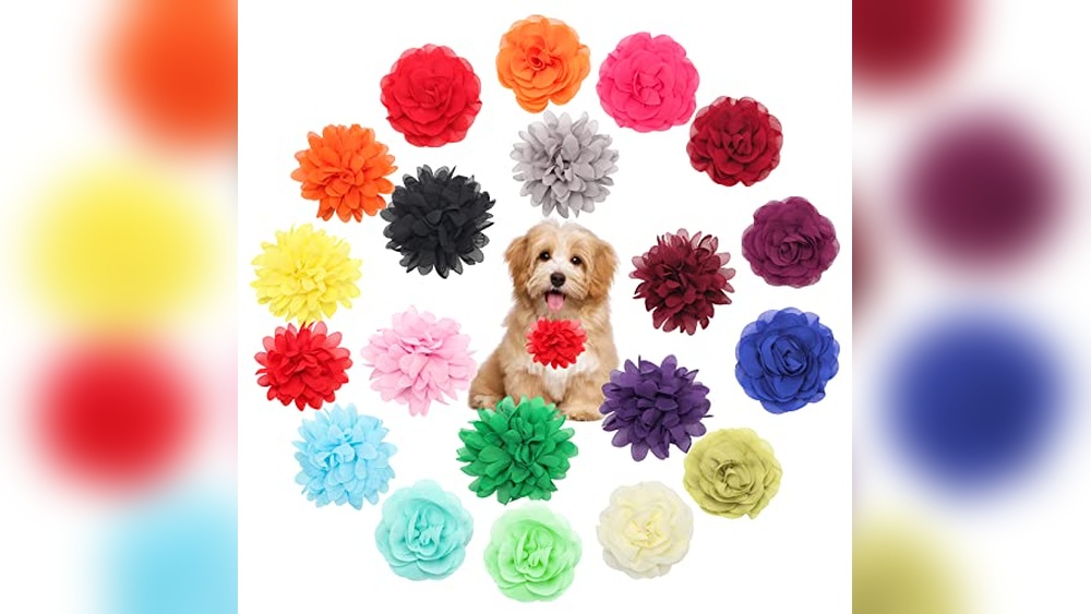Dog Collar Accessories Flower