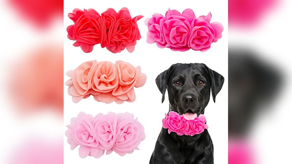 Dog Collar Flower Accessories