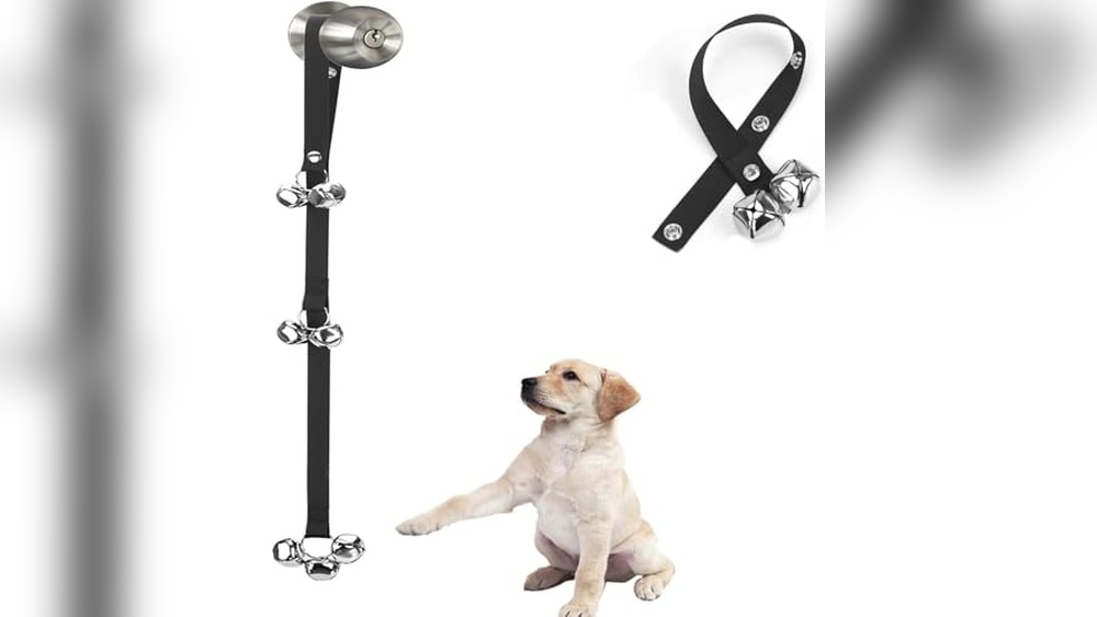 Dog Potty Training Accessories