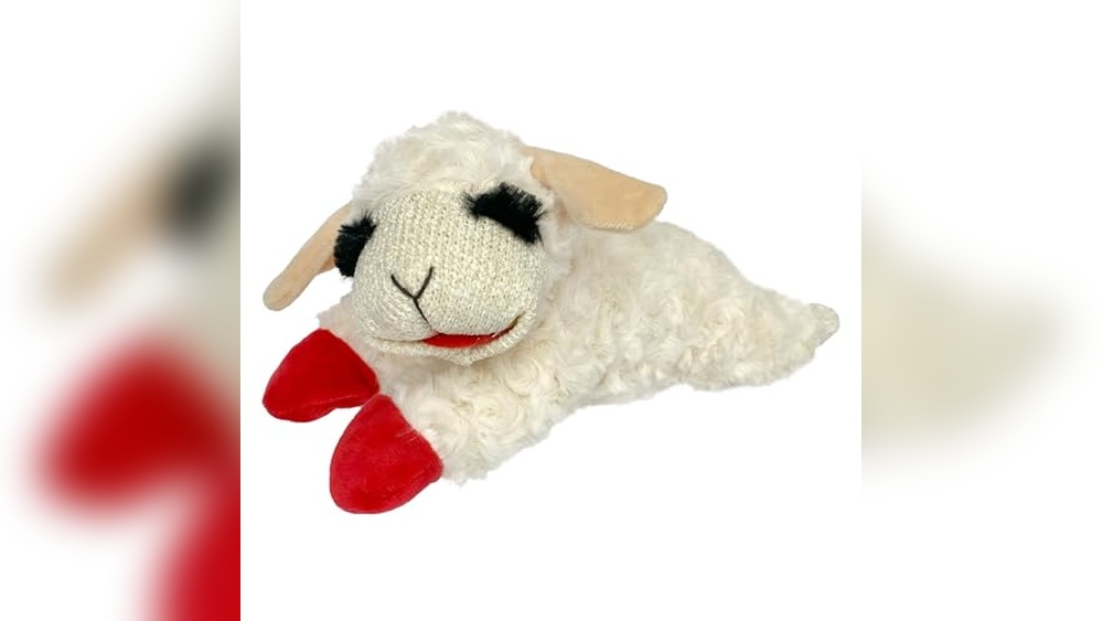Dog Toys And Accessories