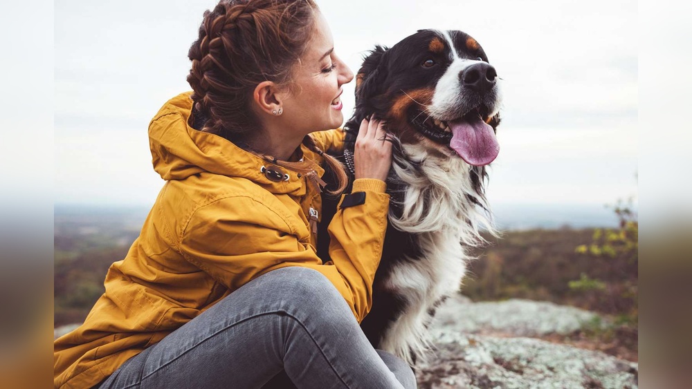 Dogs are the Best Pet