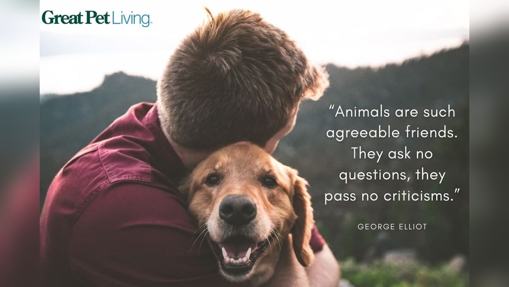 Dog'S Best Friend Quotes