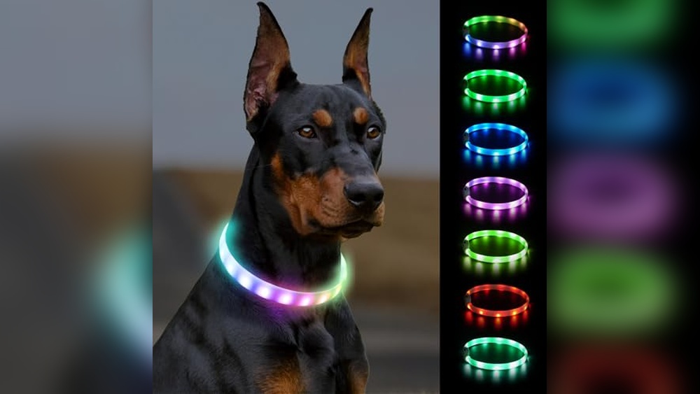 Glow in the Dark Dog Accessories