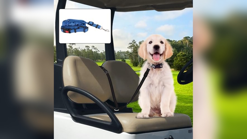 Golf Cart Dog Accessories