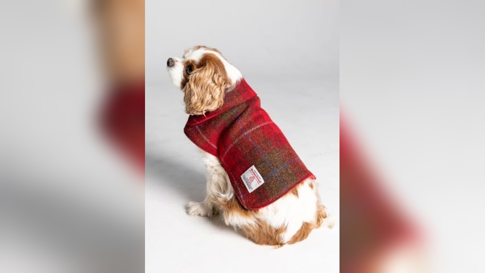 Harris Tweed Dog Accessories