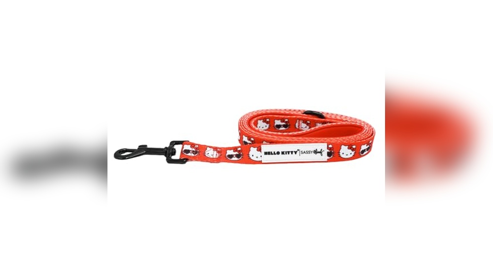 Hello Kitty Dog Accessories