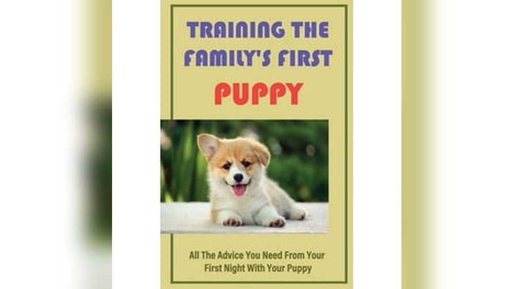 How Do I Become a Dog Breeder: Essential Steps for Success