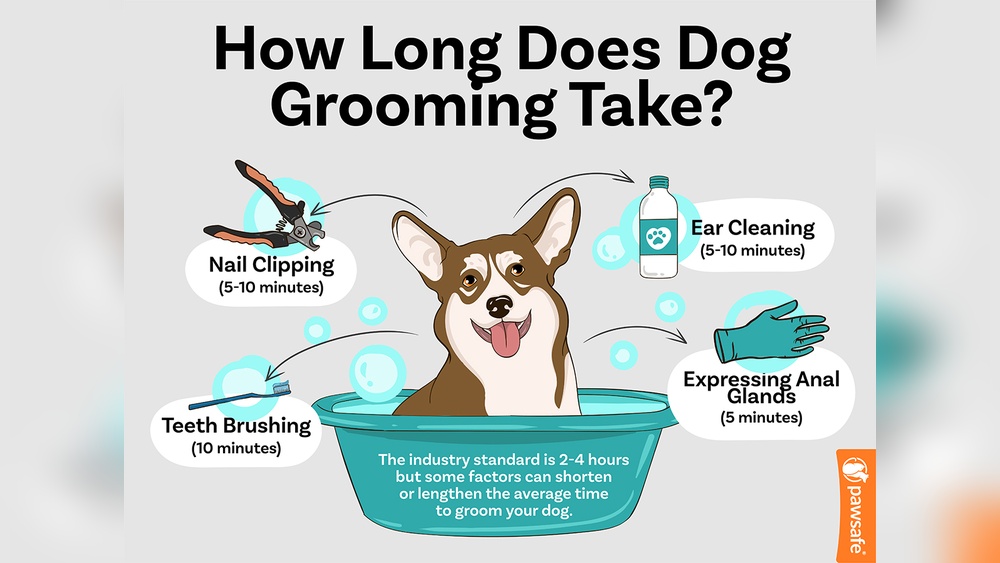 How Long Does Dog Grooming Take