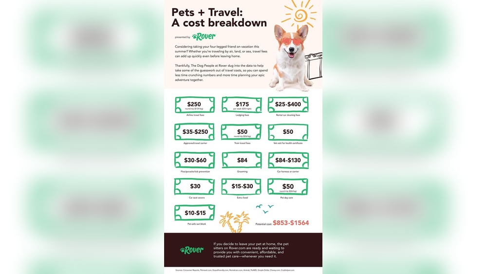 How Much is It to Travel With a Dog