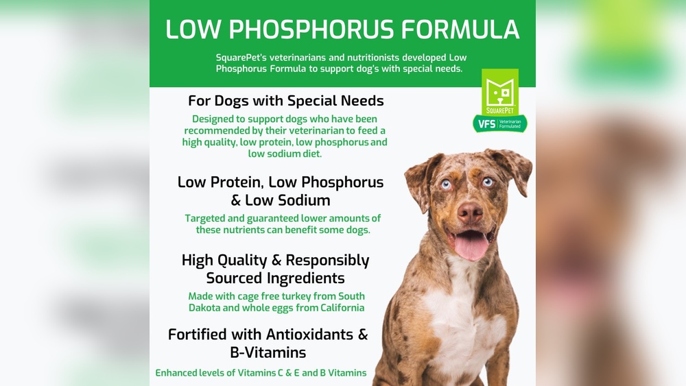 How Much Phosphorus in Hills Science Diet Adult Dog Food