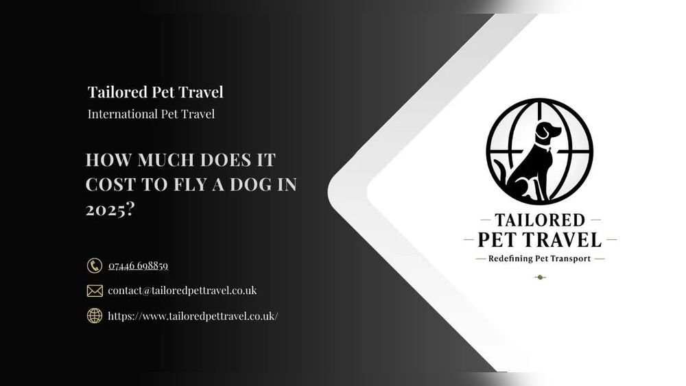 How Much to Travel With a Dog: Ultimate Cost Guide & Tips