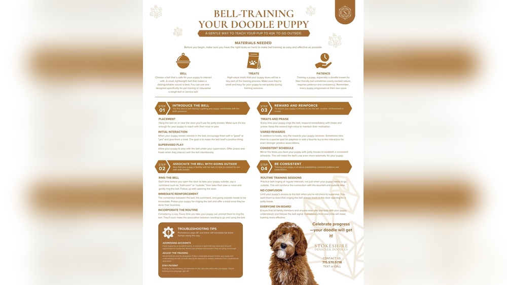 How to Bell Train a Dog