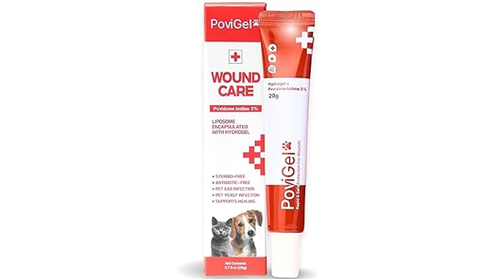 How to Care for Open Wound on Dog