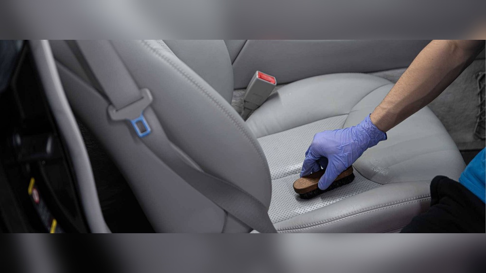How to Clean Dog Pee from Car Seat