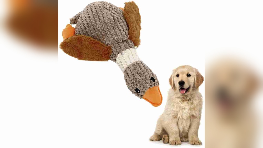 How to Clean Dog Squeaky Toys: Easy Steps for Safe Playtime